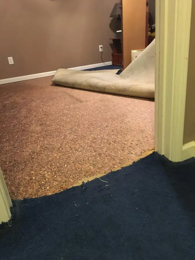 Carpet pad removal revealing water damage during Water Mitigation Services in Sterling